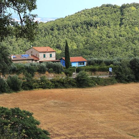 Casa Maria Villa Magliano in Toscana Ngoại thất bức ảnh