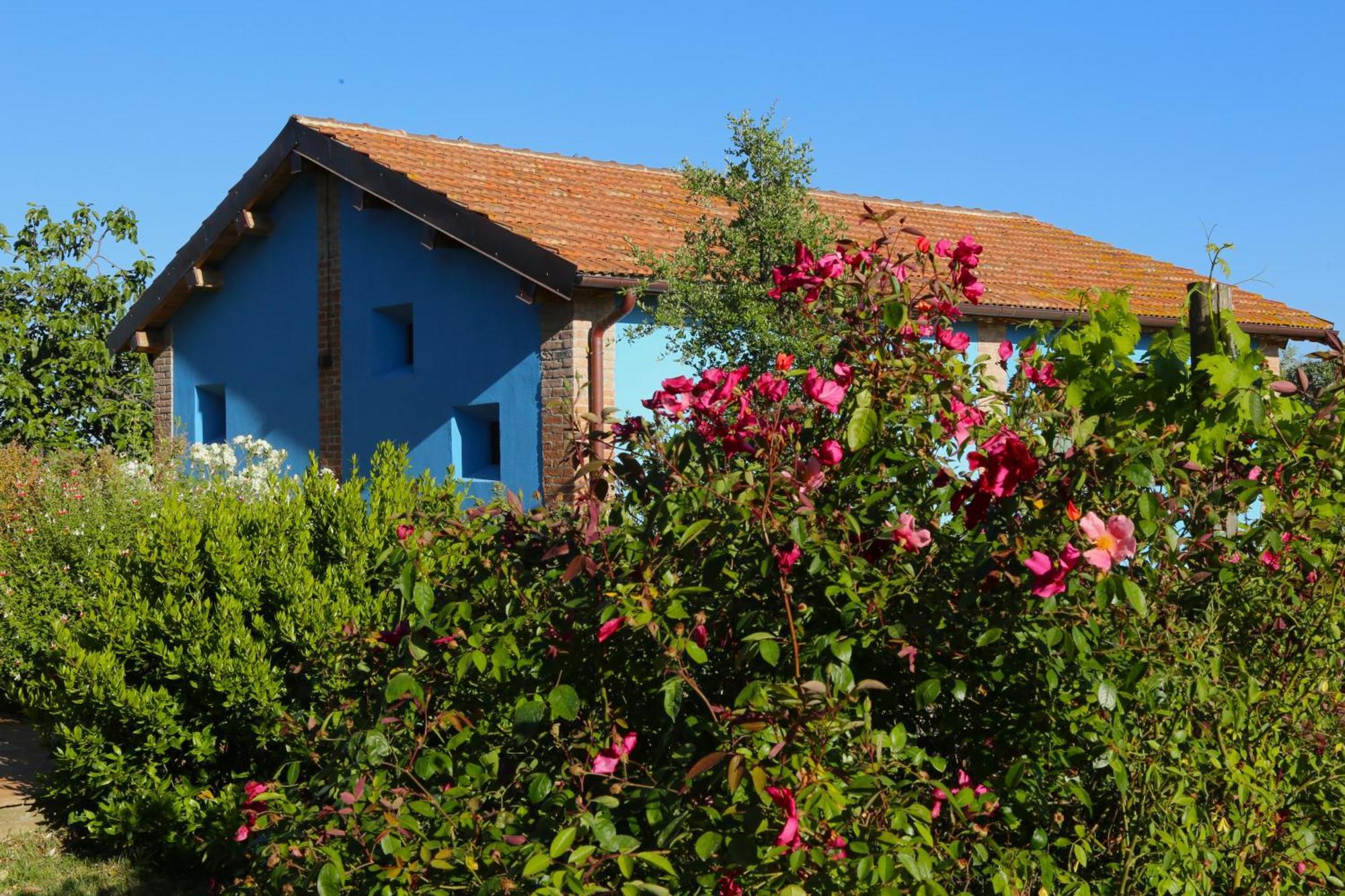 Casa Maria Villa Magliano in Toscana Ngoại thất bức ảnh